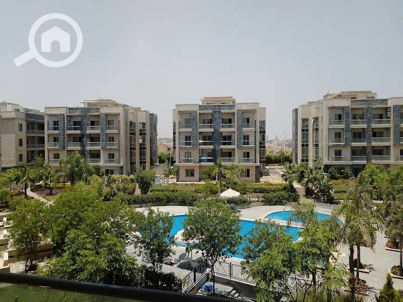 15 2022-07-03 (1). jpg