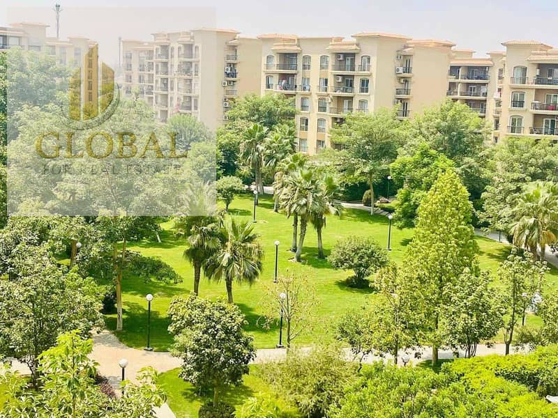 2 90818ddf-74aa-46d6-a829-b9594a0f1999. jpg