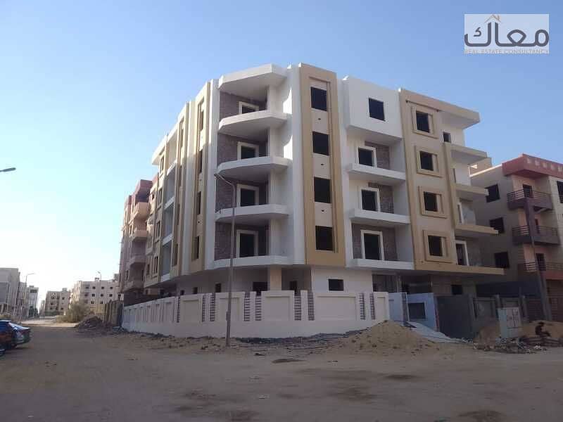 7 d83d9fd8-d34f-4fe7-bedc-7dc16e5f646a. jpeg