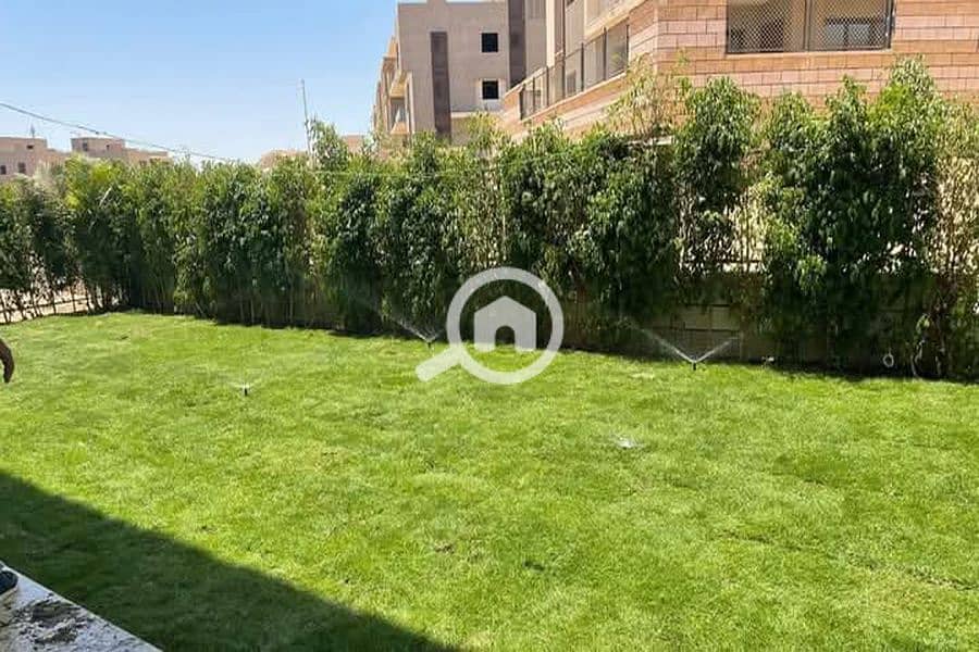 2 FB_IMG_1740050453802_900x600. jpg