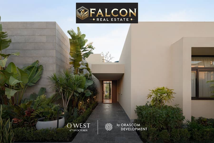 6 973618e7-4127-4a54-8ece-636c8f865aa5. jpg