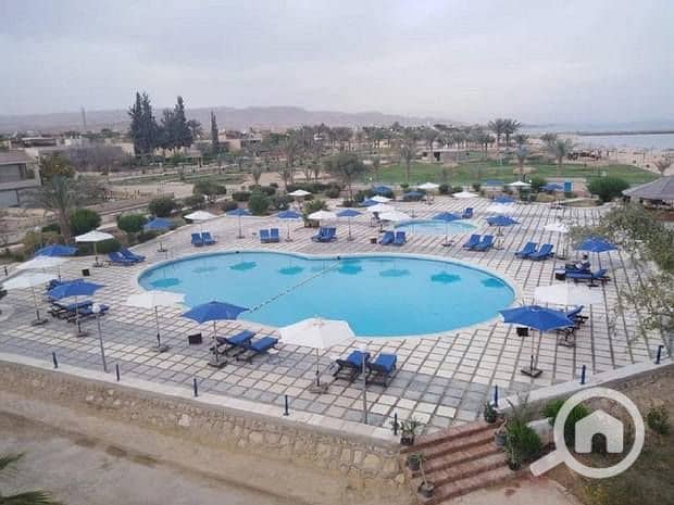 4 Amigo-El-Sokhna-4. jpg