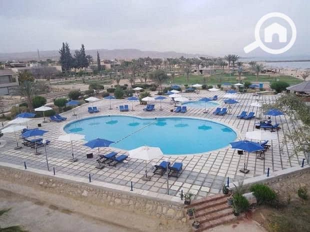 8 Amigo-El-Sokhna-4. jpg