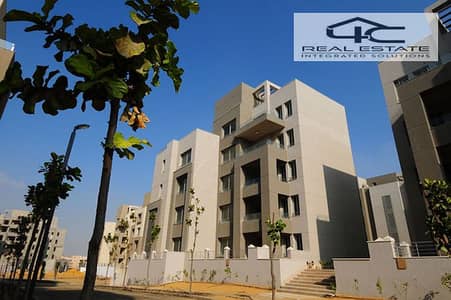 فلیٹ 1 غرفة نوم للبيع في القاهرة الجديدة، القاهرة - GQkOHg4GW1xFedqVi4QSJ3HDKbhHg6. jpg فلیٹ 1 غرفة نوم للبيع في القاهرة الجديدة، القاهرة - GQkOHg4GW1xFedqVi4QSJ3HDKbhHg6. jpg