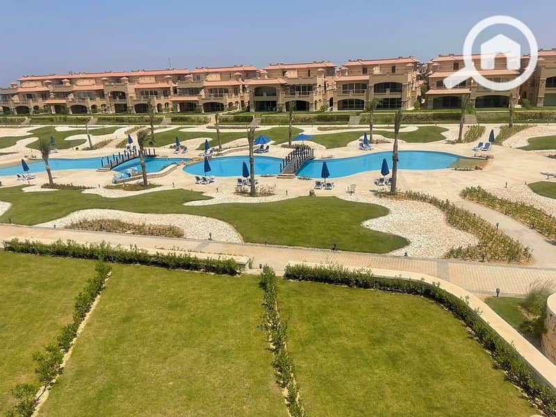 559759732_122286844772022208_441711939324851151_n. jpg 559759732_122286844772022208_441711939324851151_n. jpg