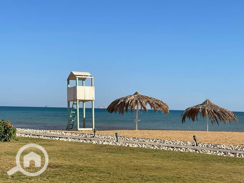 4 534424339_746179994872181_8341659588853173657_n. jpg