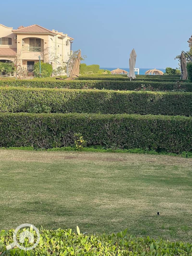 7 536145395_746180038205510_6360133783698776235_n. jpg