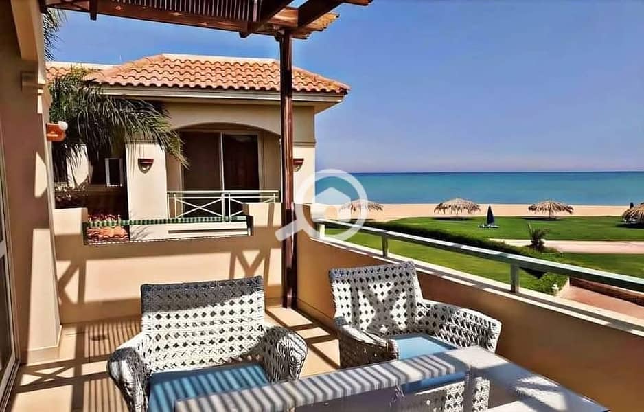 10 560540069_122269523216207753_1350617799444660860_n. jpg