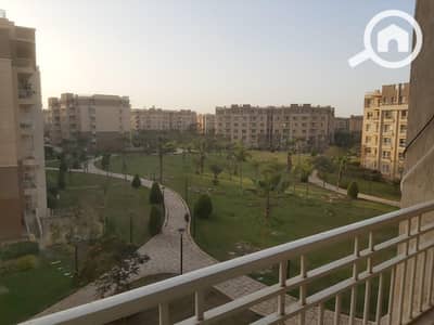 2 Bedroom Apartment for Rent in Madinaty, Cairo - WhatsApp Image 2025-11-12 at 3.14. 51 PM (1). jpeg 2 Bedroom Apartment for Rent in Madinaty, Cairo - WhatsApp Image 2025-11-12 at 3.14. 51 PM (1). jpeg