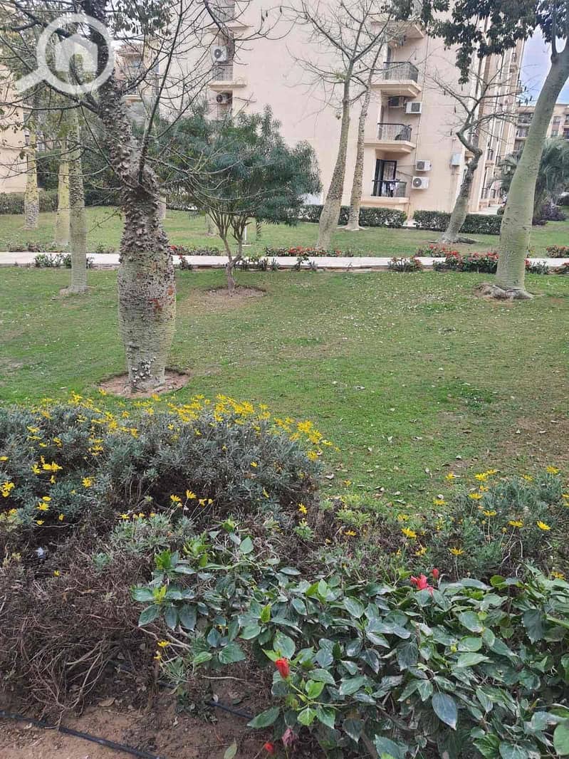 5 7e8c76a5-f89e-451c-b77e-6efb050780df. jpg