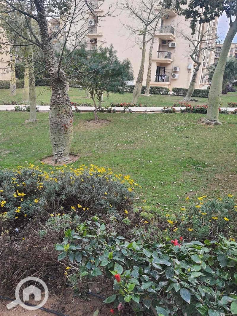 15 7e8c76a5-f89e-451c-b77e-6efb050780df. jpg