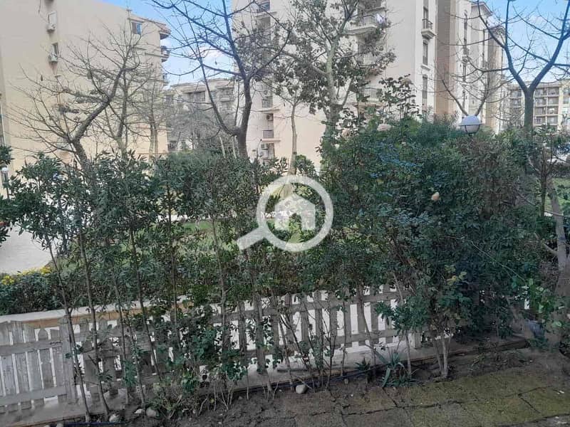 17 16ba6c9a-06b8-4341-9113-748b80fd18b4. jpg