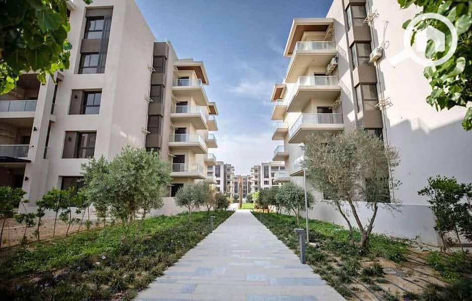 7 560049117_122126857784965801_3621768664148937436_n. jpg