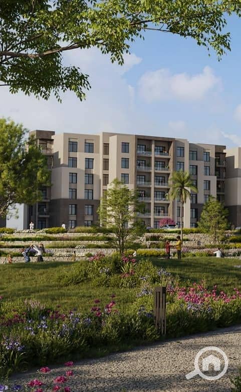 10 557700621_1738273496925054_4226509532796739368_n. jpg