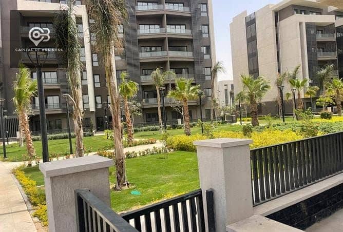 6 cfe17d0b-756f-420c-95f4-f550b2e1f00f. jpg