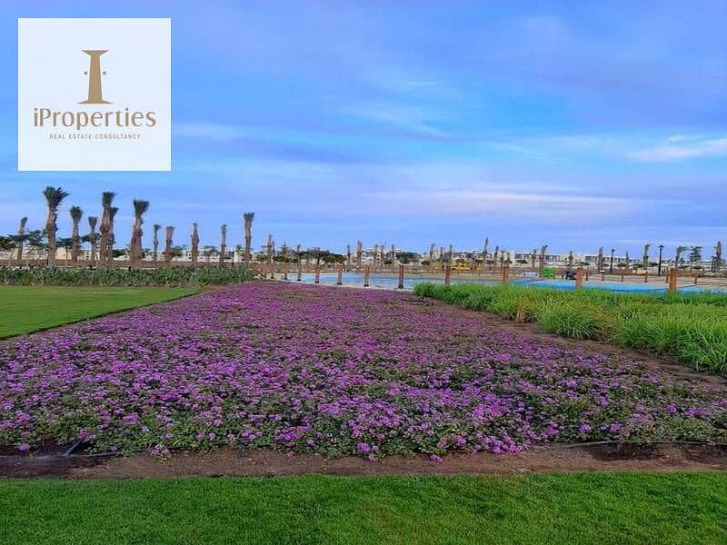 11 WhatsApp Image 2023-02-12 at 1.52. 46 PM (1). jpeg