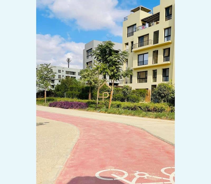 12 566201697_1309718641165977_484962729529980290_n. jpg