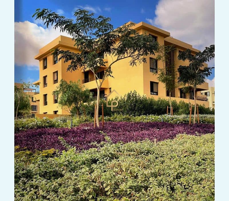 13 568438767_1309718654499309_8351604852214873787_n. jpg