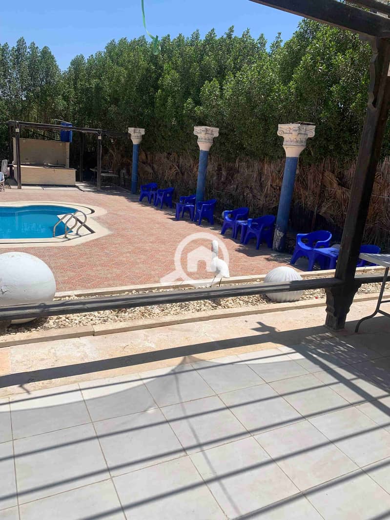 29 IMG-20250530-WA0030. jpg