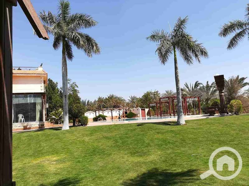 7 IMG-20250329-WA0097. jpg