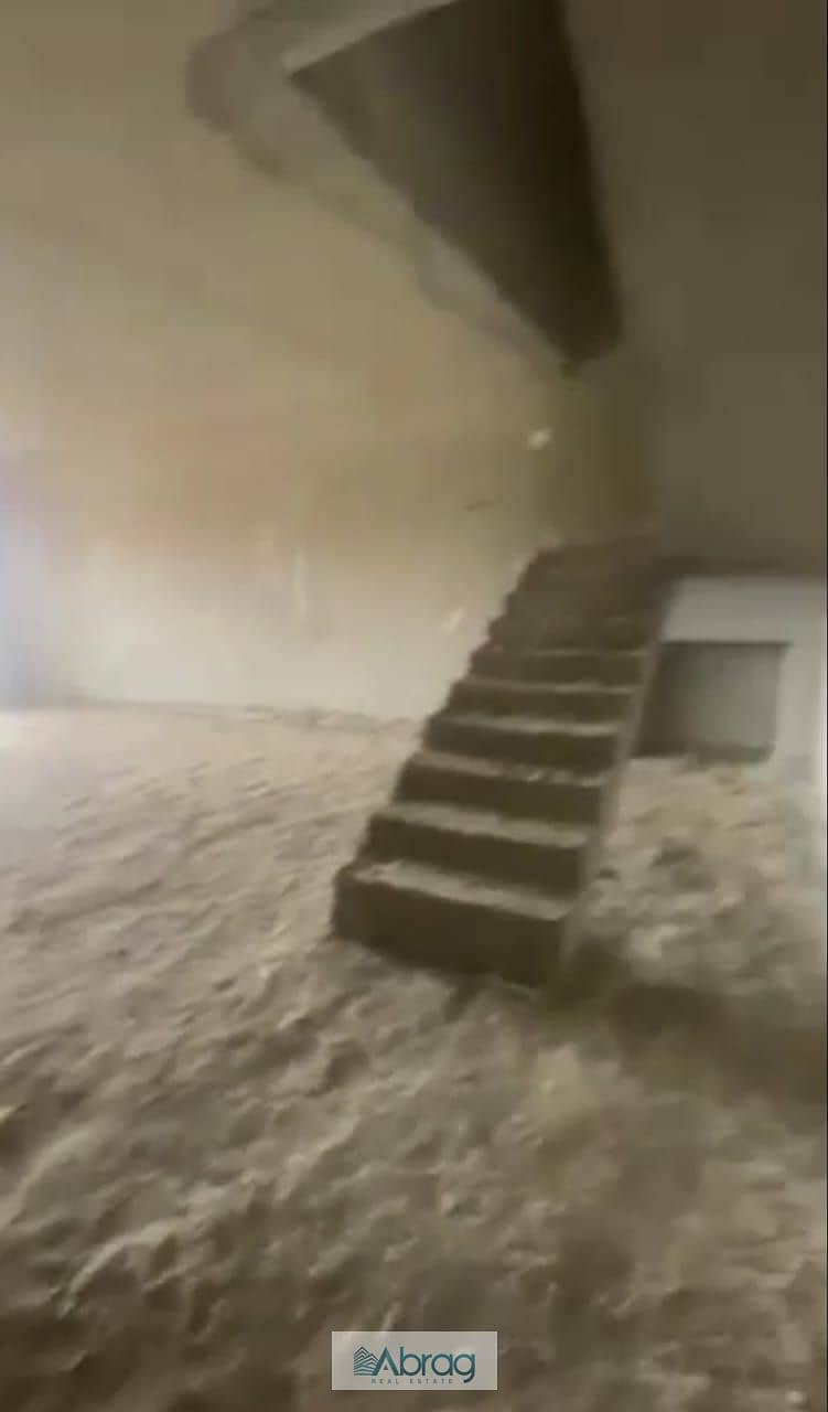 3 3d7a2732-237a-4a26-9af5-696dd0ddf248. jpeg