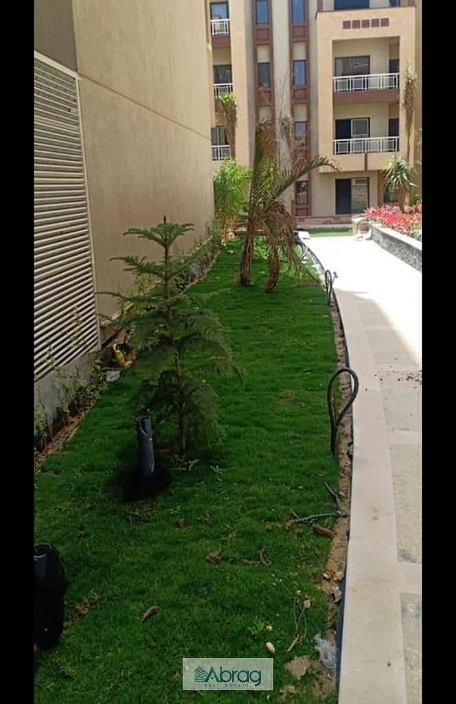 5 8e65f294-280c-4d44-ba7b-3acaf1a77dba. jpeg