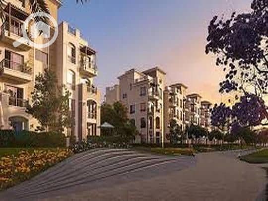 8 909ad04d-784e-11ef-b4b1-ceec2d1902f0. jpeg