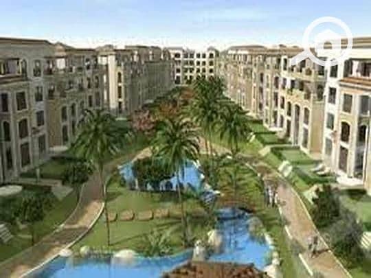 13 9087387b-784e-11ef-b4b1-ceec2d1902f0. jpeg