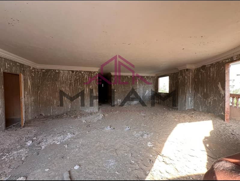 7 photo_5814222049394756361_y. jpg