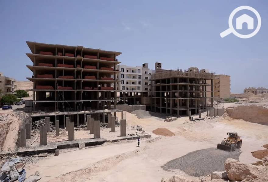 10 7901535-76eeao. jpg