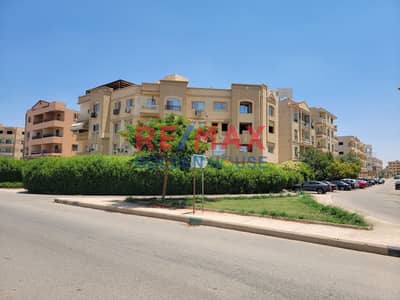 3 Bedroom Flat for Sale in Shorouk City, Cairo - WhatsApp Image 2025-11-08 at 5.46. 28 PM (2). jpeg 3 Bedroom Flat for Sale in Shorouk City, Cairo - WhatsApp Image 2025-11-08 at 5.46. 28 PM (2). jpeg