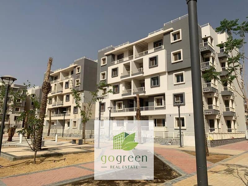 6 10f8bcf7-0b85-4c08-926a-204bc882d365. jpg