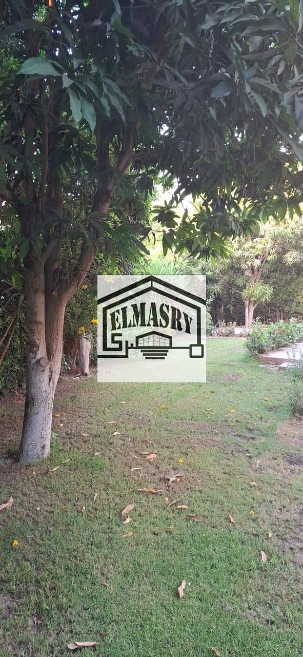 5 8fed2131-d464-4548-8636-0b0428335f54. jpeg