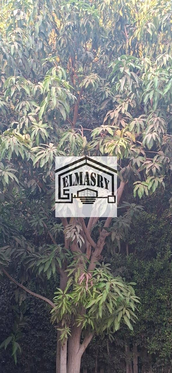 6 9fd159db-bc8c-440d-8a5f-fe5a7e349d28. jpeg