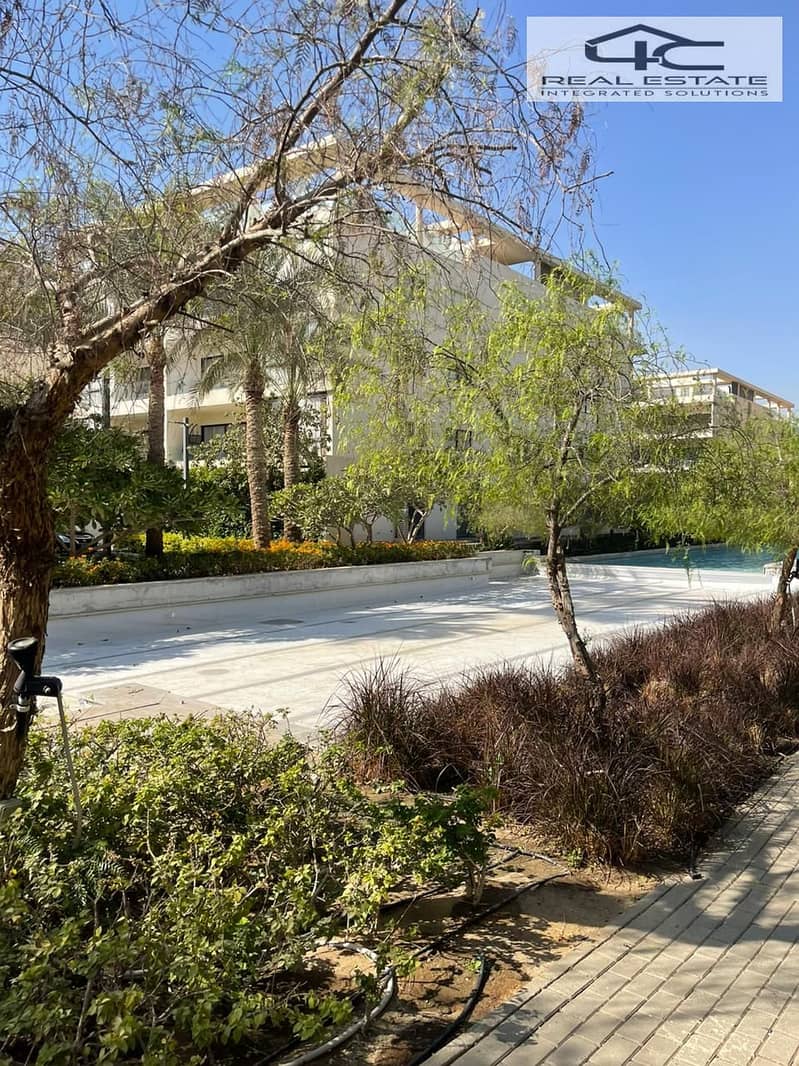 4 WhatsApp Image 2025-11-13 at 01.02. 35. jpeg