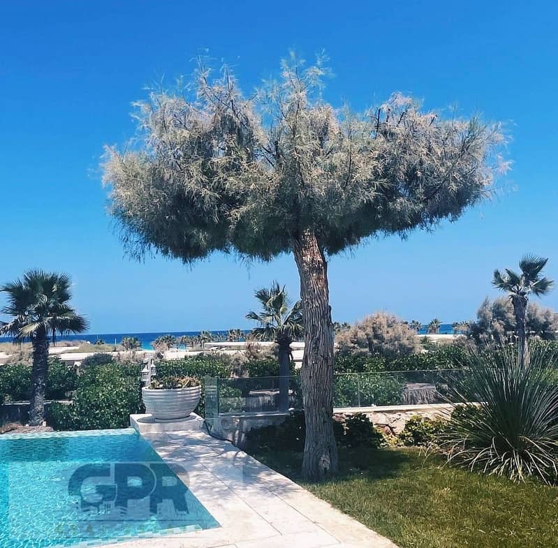 490183204_3920553454880700_2870302337729231754_n. jpg 490183204_3920553454880700_2870302337729231754_n. jpg