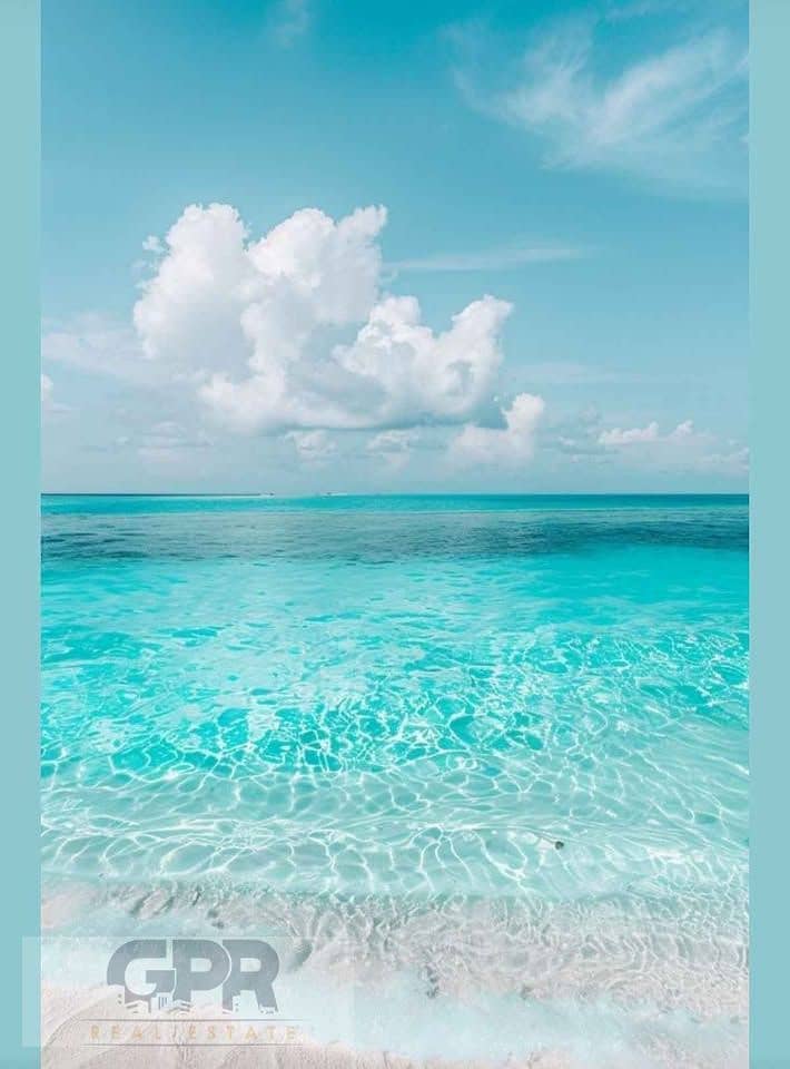 6 492002959_9502965903133518_7439089793586678755_n. jpg