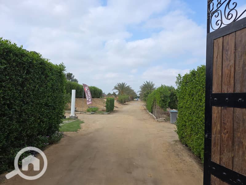 2 WhatsApp Image 2025-11-10 at 01.35. 19 (2). jpeg