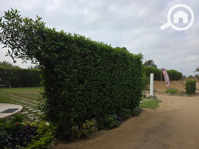 5 WhatsApp Image 2025-11-10 at 01.35. 20. jpeg