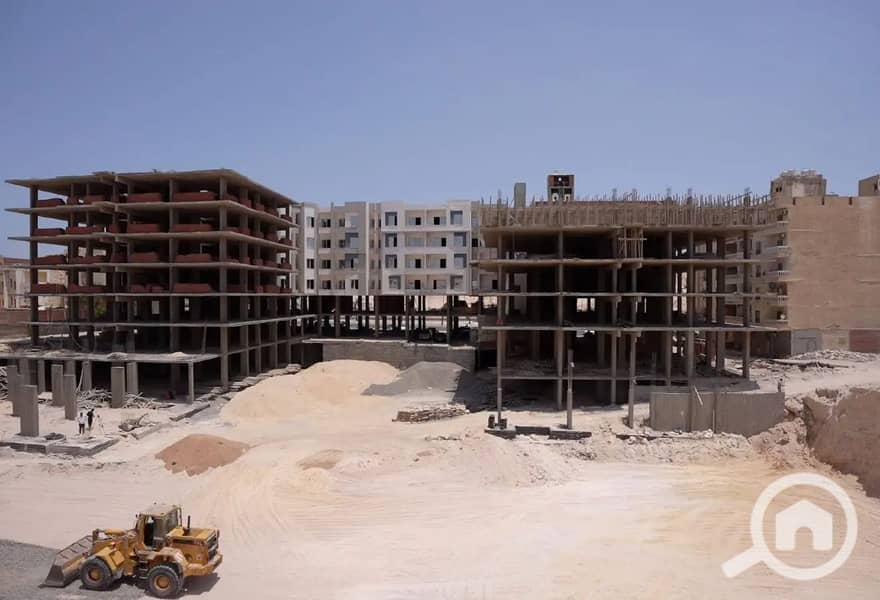 6 7901535-5bbd9o. jpg