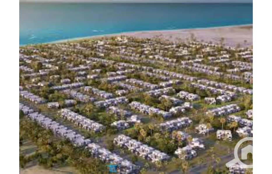 5 download. jfif. jpg