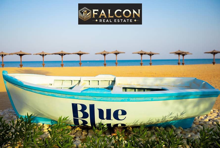 3 FWFWFQEQQQFWEGWSRGWGWEF. jpg