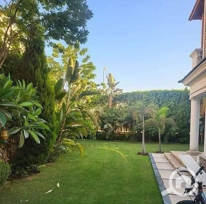 8 f88e6f9c-44c7-4136-8db2-5d00da55cddb. jpg