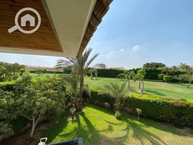 499921775_1007805428231578_5581981106282814599_n. jpg 499921775_1007805428231578_5581981106282814599_n. jpg