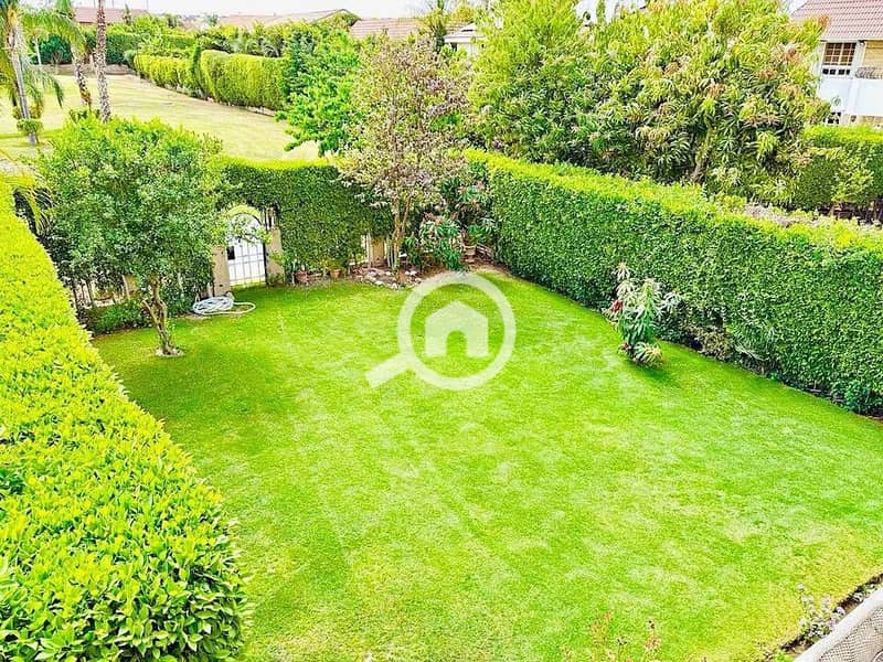 8 499137979_122224312766197794_3423173932978903367_n. jpg