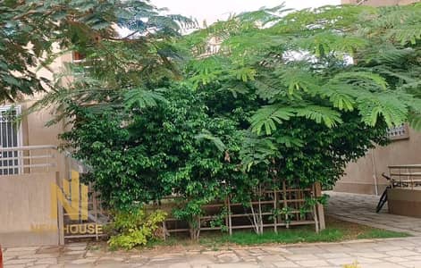 2 Bedroom Apartment for Rent in Madinaty, Cairo - WhatsApp Image 2025-11-13 at 4.23. 48 AM. jpeg