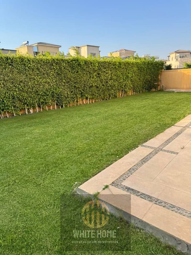 1eac076a-605e-434f-be3b-306424e064ef. jpeg