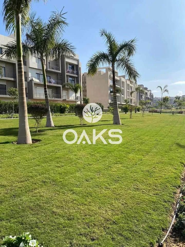 11 497876719_2124400831410193_1224961788449807189_n. jpg