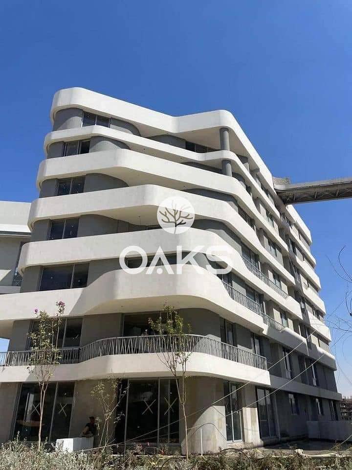 5 WhatsApp Image 2025-10-13 at 14.30. 53_ba90a3b2. jpg