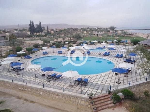 8 Amigo-El-Sokhna-4. jpg